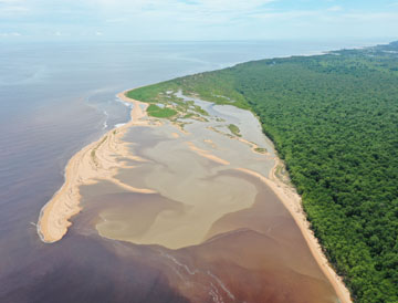 Coastal Ecosystems